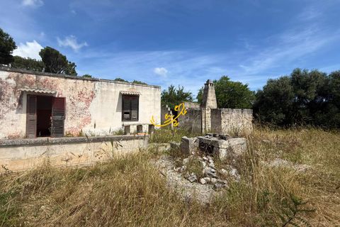 Landejendom i Monopoli, Bari, Monopoli - € 190.000 | Ref: R 567 - foto 9