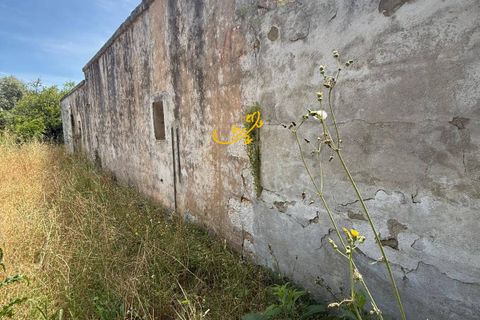 Landejendom i Monopoli, Bari, Monopoli - € 190.000 | Ref: R 567 - foto 11