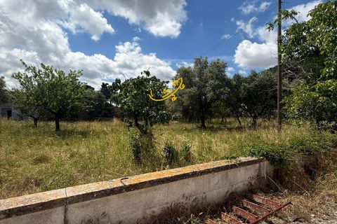 Landejendom i Monopoli, Bari, Monopoli - € 190.000 | Ref: R 567 - foto 32