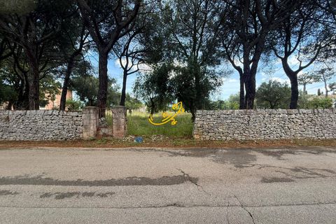 Landejendom i Monopoli, Bari, Monopoli - € 190.000 | Ref: R 567 - foto 16