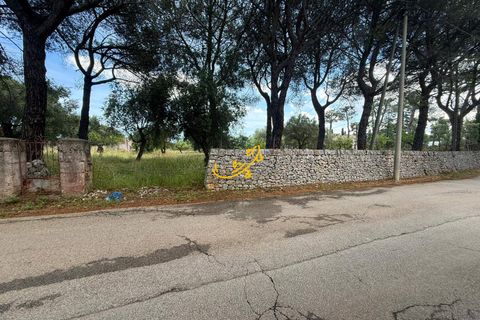 Landejendom i Monopoli, Bari, Monopoli - € 190.000 | Ref: R 567 - foto 18