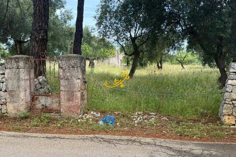 Landejendom i Monopoli, Bari, Monopoli - € 190.000 | Ref: R 567 - foto 14