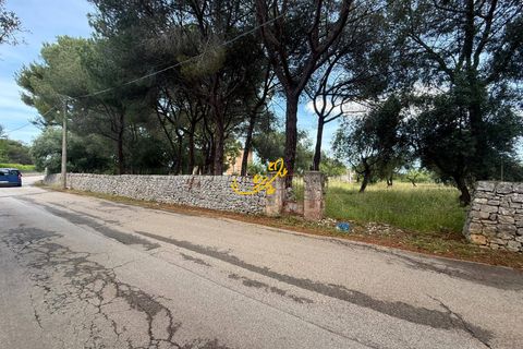 Landejendom i Monopoli, Bari, Monopoli - € 190.000 | Ref: R 567 - foto 15