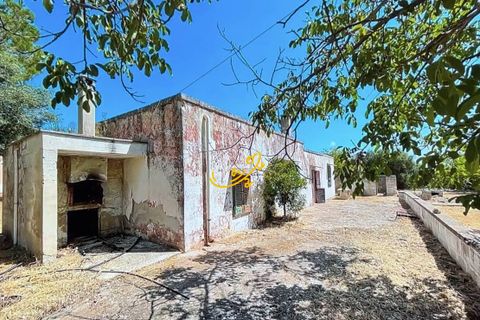 Landejendom i Monopoli, Bari, Monopoli - € 190.000 | Ref: R 567 - foto 2