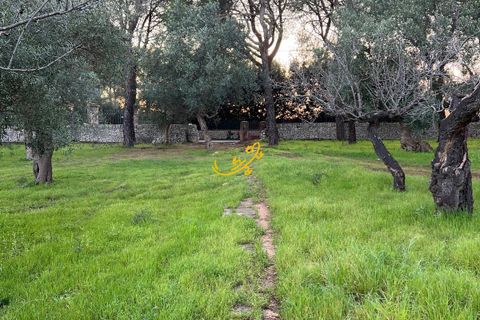 Landejendom i Monopoli, Bari, Monopoli - € 190.000 | Ref: R 567 - foto 5