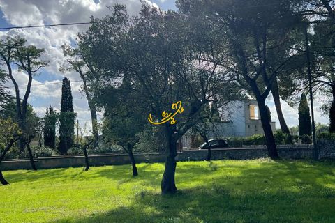 Landejendom i Monopoli, Bari, Monopoli - € 190.000 | Ref: R 567 - foto 6