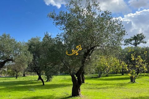 Landejendom i Monopoli, Bari, Monopoli - € 190.000 | Ref: R 567 - foto 7