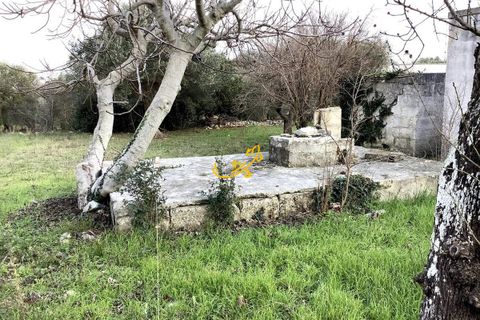 Landejendom i Monopoli, Bari, Monopoli - € 190.000 | Ref: R 567 - foto 13