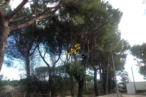 Landejendom i Monopoli, Bari, Monopoli - € 190.000 | Ref: R 567 - foto 17