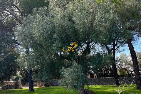Landejendom i Monopoli, Bari, Monopoli - € 190.000 | Ref: R 567 - foto 19