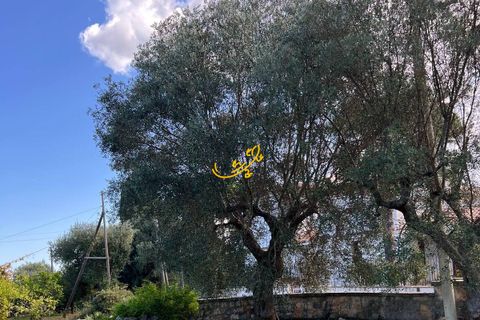 Landejendom i Monopoli, Bari, Monopoli - € 190.000 | Ref: R 567 - foto 20
