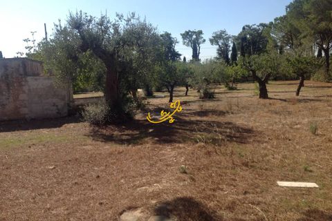 Landejendom i Monopoli, Bari, Monopoli - € 190.000 | Ref: R 567 - foto 21