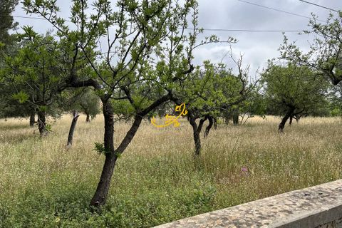 Landejendom i Monopoli, Bari, Monopoli - € 190.000 | Ref: R 567 - foto 37