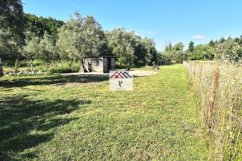 Villa i Cantanhede, Coimbra, Cantanhede - € 349.000 | Ref: V980MS - foto 6
