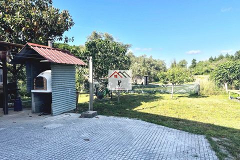 Villa i Cantanhede, Coimbra, Cantanhede - € 349.000 | Ref: V980MS - foto 14