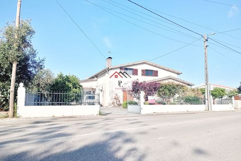 Villa i Cantanhede, Coimbra, Cantanhede - € 349.000 | Ref: V980MS - foto 37