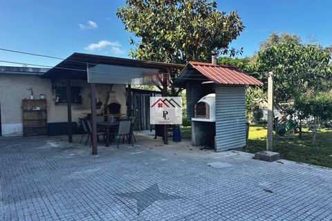 Villa i Cantanhede, Coimbra, Cantanhede - € 349.000 | Ref: V980MS - foto 40