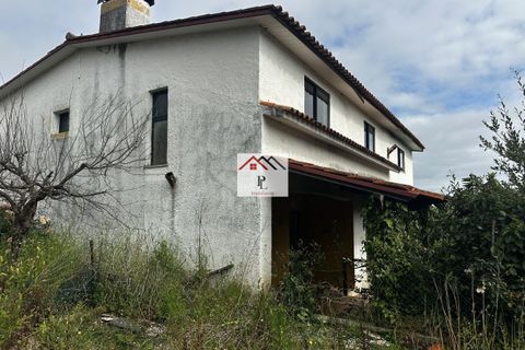Villa i Anadia, Aveiro, Anadia - € 210.000 | Ref: V981PV - foto 3