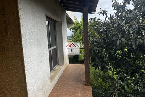Villa i Anadia, Aveiro, Anadia - € 210.000 | Ref: V981PV - foto 15