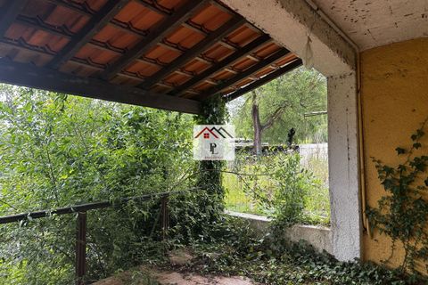 Villa i Anadia, Aveiro, Anadia - € 210.000 | Ref: V981PV - foto 16