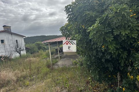 Villa i Anadia, Aveiro, Anadia - € 210.000 | Ref: V981PV - foto 45