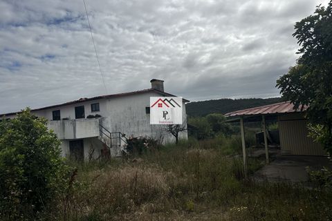 Villa i Anadia, Aveiro, Anadia - € 210.000 | Ref: V981PV - foto 46