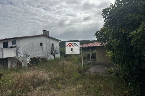 Villa i Anadia, Aveiro, Anadia - € 210.000 | Ref: V981PV - foto 47
