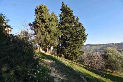 Erhvervsejendom i Ripatransone, Ascoli Piceno, Ripatransone - € 750.000 | Ref: 34181 - foto 27