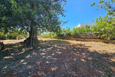 Helårsgrund i Moncarapacho, Faro, Moncarapacho - € 169.000 | Ref: T26 - foto 4