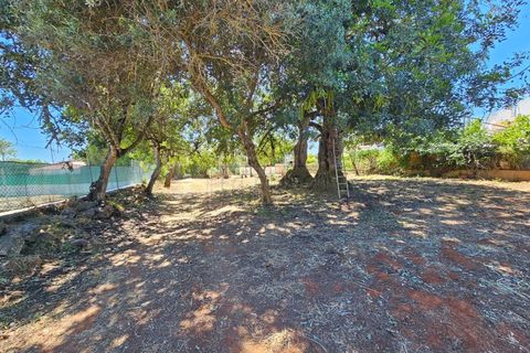 Helårsgrund i Moncarapacho, Faro, Moncarapacho - € 169.000 | Ref: T26 - foto 6
