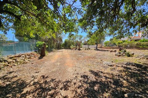 Helårsgrund i Moncarapacho, Faro, Moncarapacho - € 169.000 | Ref: T26 - foto 8