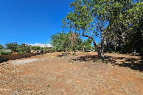 Helårsgrund i Moncarapacho, Faro, Moncarapacho - € 169.000 | Ref: T26 - foto 10