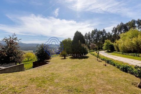 Farm i Penafiel, Porto, Penafiel - € 650.000 | Ref: 1130351 - foto 14