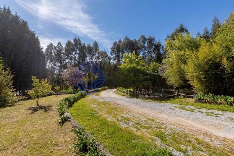 Farm i Penafiel, Porto, Penafiel - € 650.000 | Ref: 1130351 - foto 15