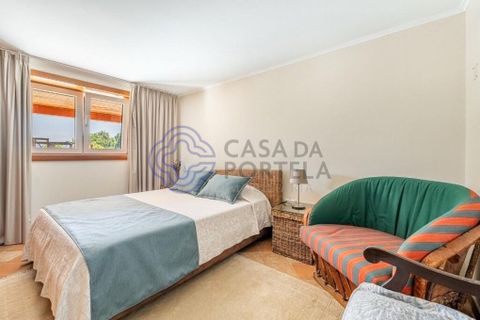 Farm i Penafiel, Porto, Penafiel - € 650.000 | Ref: 1130351 - foto 38