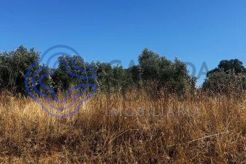 Helårsgrund i Palmela, Setubal, Palmela - € 320.000 | Ref: 1121261 - foto 22