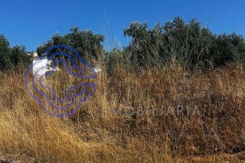 Helårsgrund i Palmela, Setubal, Palmela - € 320.000 | Ref: 1121261 - foto 19