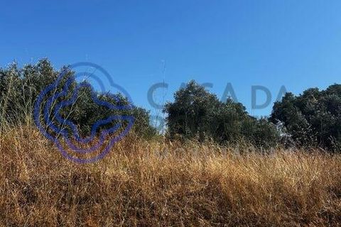 Helårsgrund i Palmela, Setubal, Palmela - € 320.000 | Ref: 1121261 - foto 20