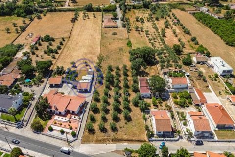 Helårsgrund i Palmela, Setubal, Palmela - € 320.000 | Ref: 1121261 - foto 2