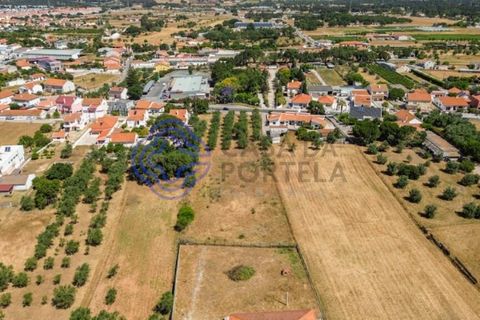 Helårsgrund i Palmela, Setubal, Palmela - € 320.000 | Ref: 1121261 - foto 3