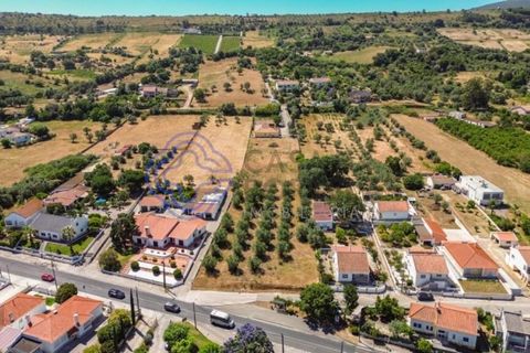 Helårsgrund i Palmela, Setubal, Palmela - € 320.000 | Ref: 1121261 - foto 8