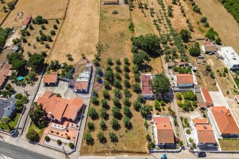 Helårsgrund i Palmela, Setubal, Palmela - € 320.000 | Ref: 1121261 - foto 9