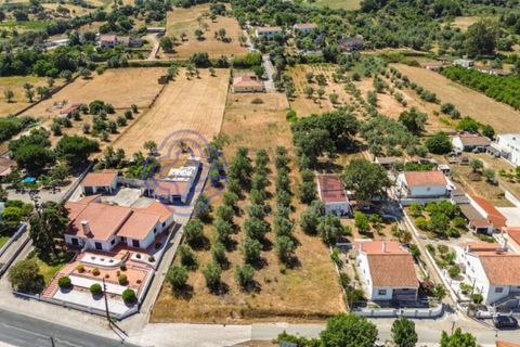 Helårsgrund i Palmela, Setubal, Palmela - € 320.000 | Ref: 1121261 - foto 10