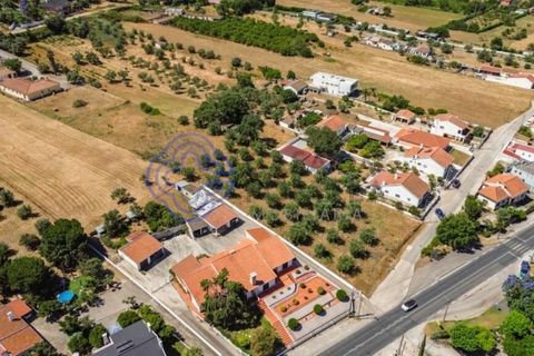 Helårsgrund i Palmela, Setubal, Palmela - € 320.000 | Ref: 1121261 - foto 11
