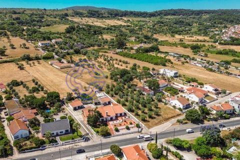 Helårsgrund i Palmela, Setubal, Palmela - € 320.000 | Ref: 1121261 - foto 12