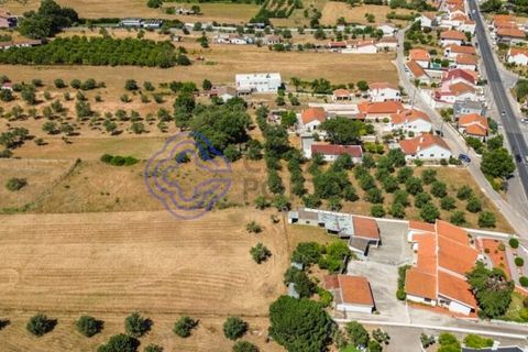 Helårsgrund i Palmela, Setubal, Palmela - € 320.000 | Ref: 1121261 - foto 13