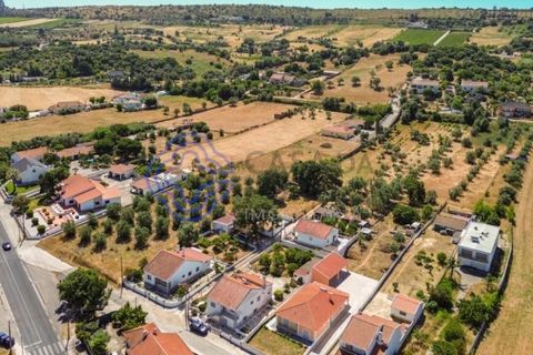 Helårsgrund i Palmela, Setubal, Palmela - € 320.000 | Ref: 1121261 - foto 14