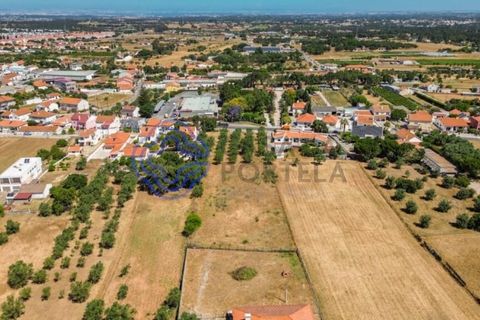 Helårsgrund i Palmela, Setubal, Palmela - € 320.000 | Ref: 1121261 - foto 15