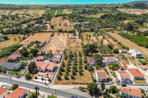 Helårsgrund i Palmela, Setubal, Palmela - € 320.000 | Ref: 1121261 - foto 16