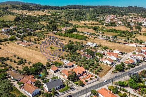 Helårsgrund i Palmela, Setubal, Palmela - € 320.000 | Ref: 1121261 - foto 17